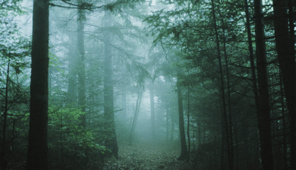 Reveries